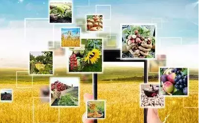 2016年农村电商盈利政策最新总结 网上销售农产品