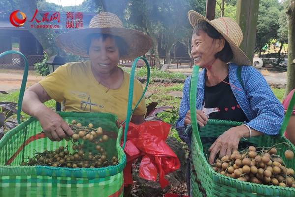 从田间到指尖 海口永兴土产品直销进城，农户笑开颜