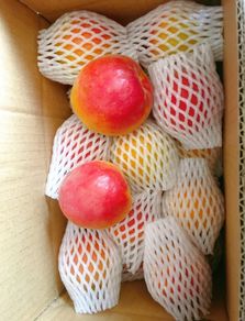 电商赋能，品牌崛起 巨鹿鲜杏的线上销售转型之路