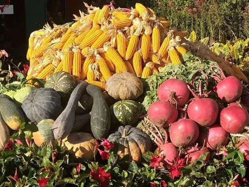 学会这三点,农产品不愁卖