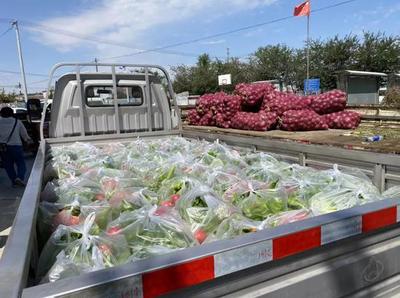 防疫一线显担当 看新疆兵团第十二师“行动派”网上销售农产品