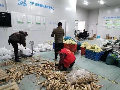 宅家买菜不用愁，杭州这些蔬菜基地实现送菜上门服务